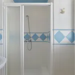 Perez Zara 6 *